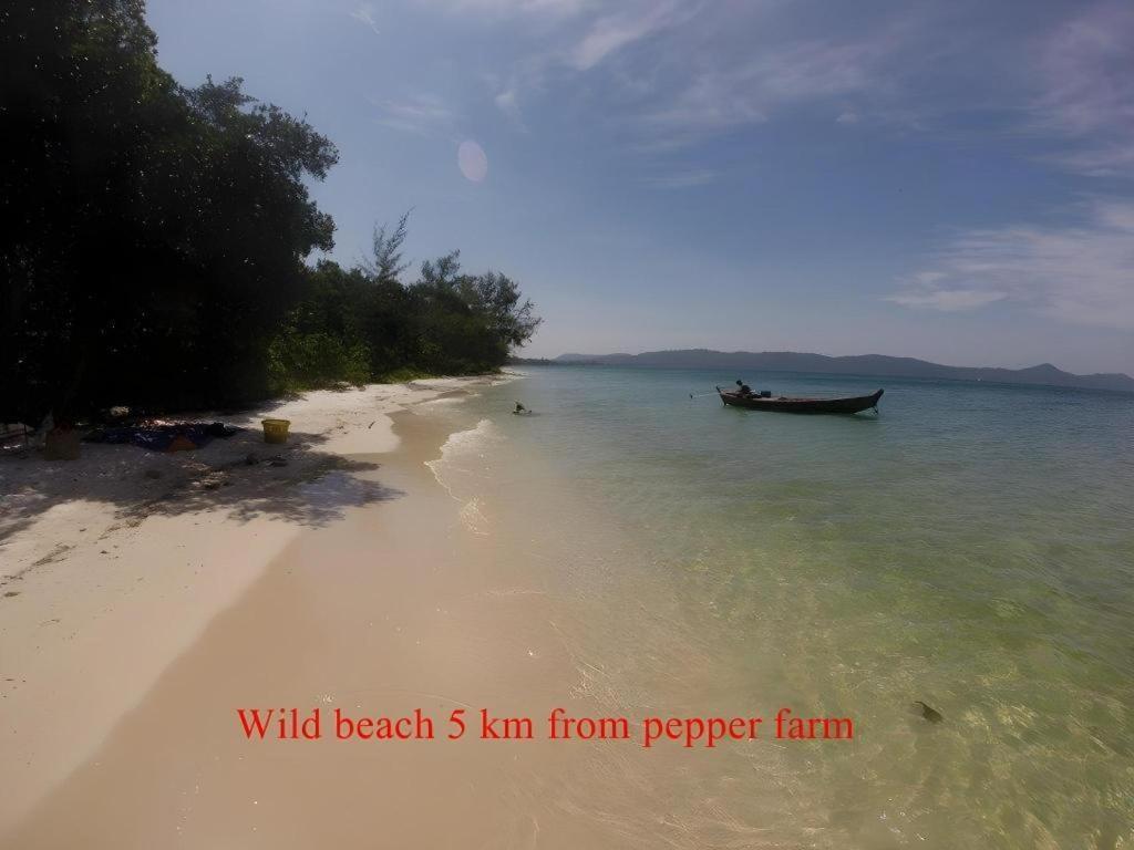 Pepper Farm Phu Quoc Bungalow Exterior photo